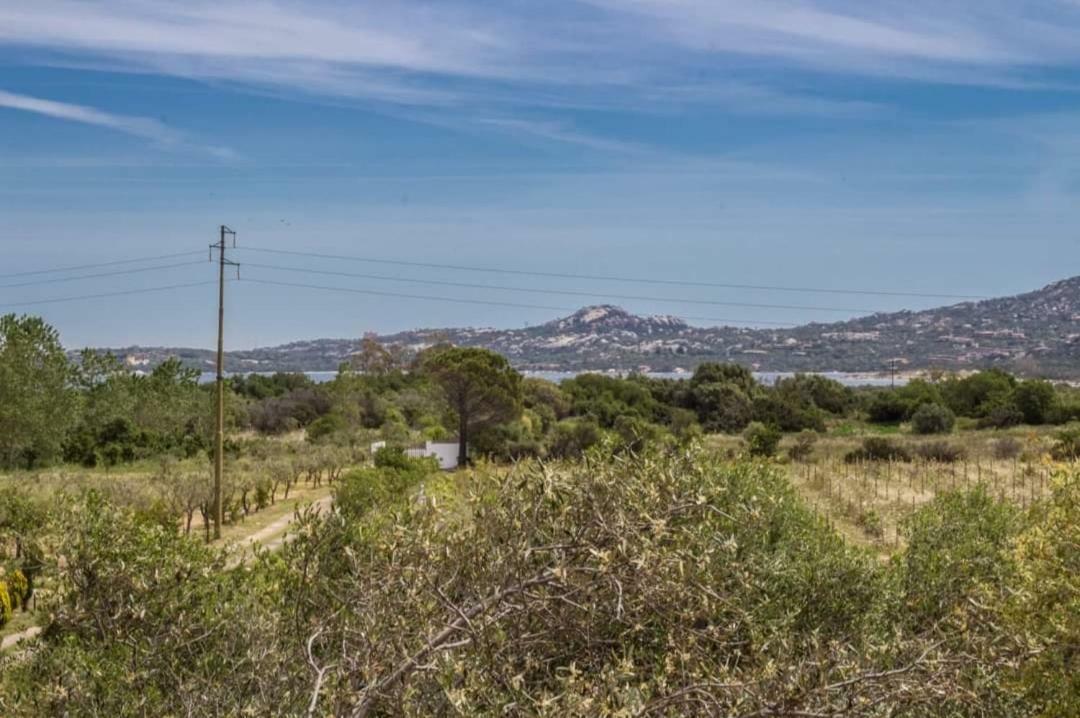 Il Falco Casa Vacanze - Cugnana - Porto Rotondo Eksteriør bilde